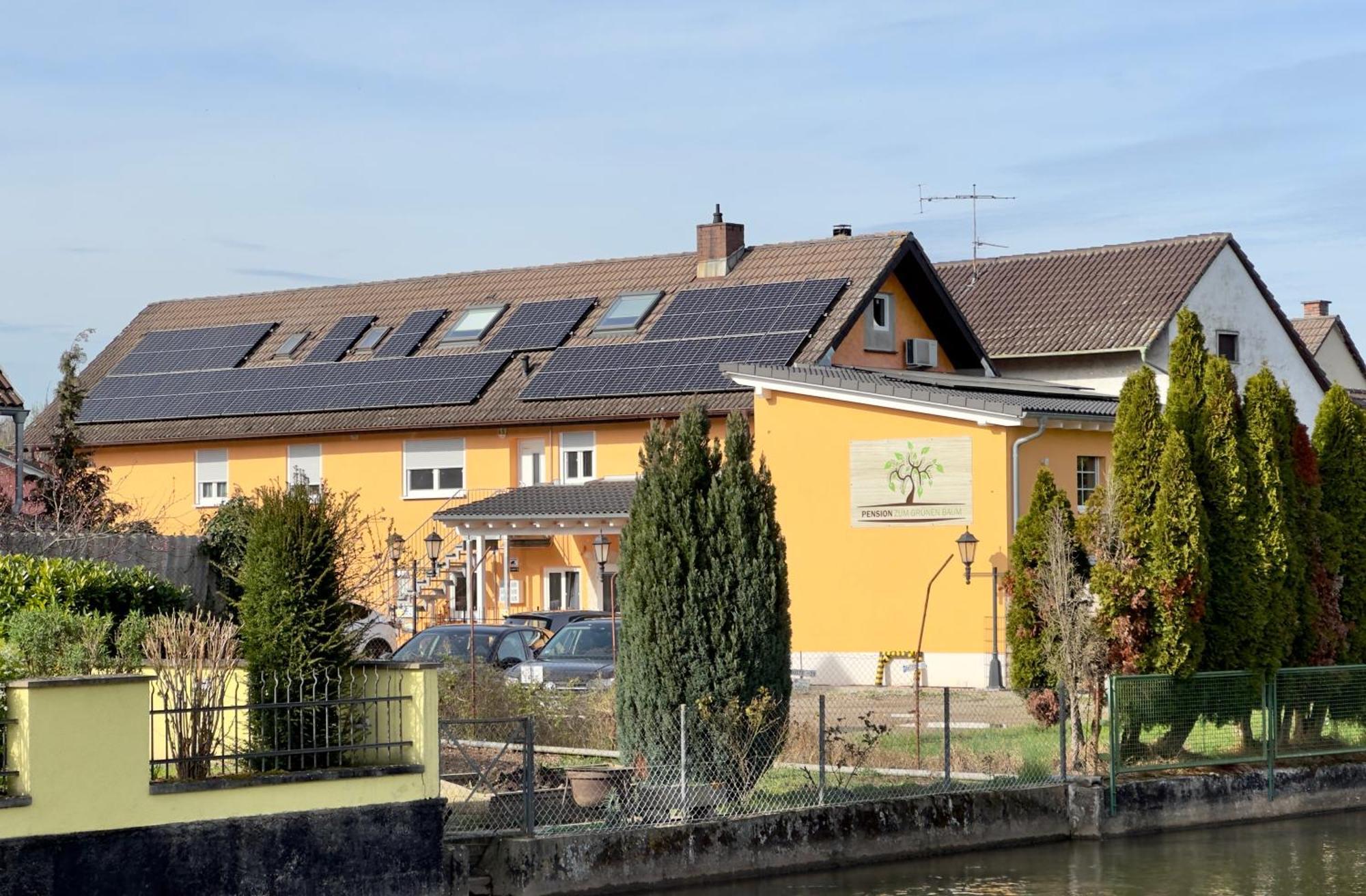Europa Pension Zum Gruenen Baum Rust Zewnętrze zdjęcie